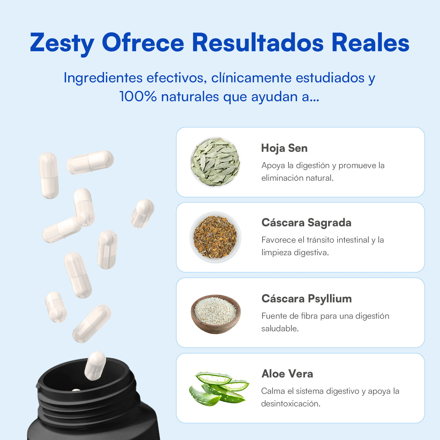 Zesty Limpieza Digestiva 15 Días | REDUCE MEDIDAS Y LIMPIA TU PIEL DE UNA MANERA SANA Y NATURAL
